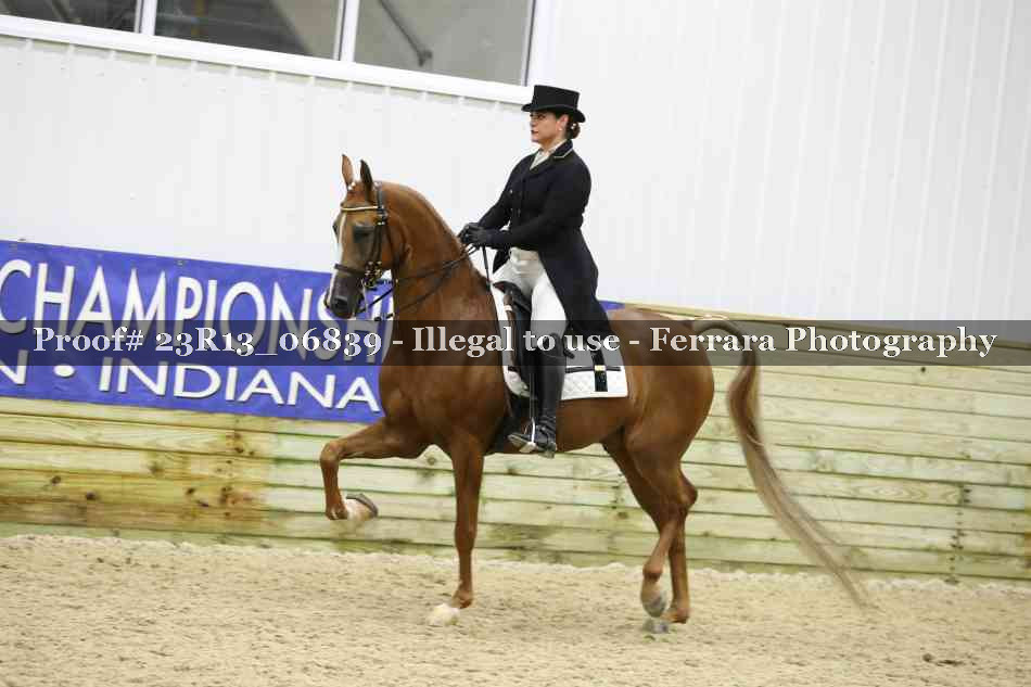 Proof 23R13_06839