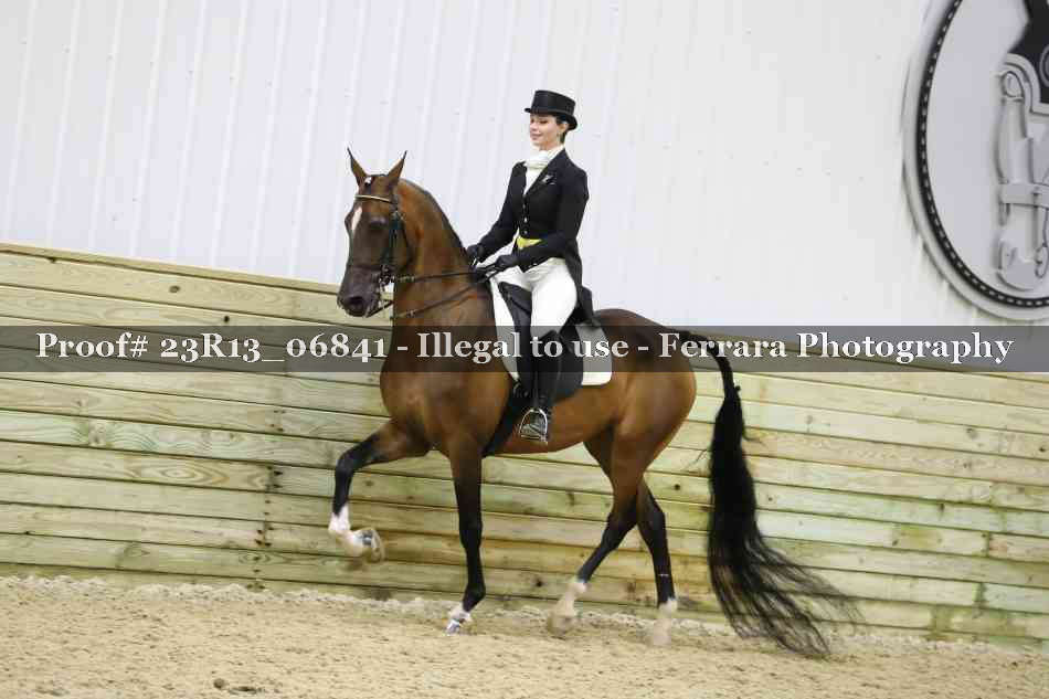 Proof 23R13_06841