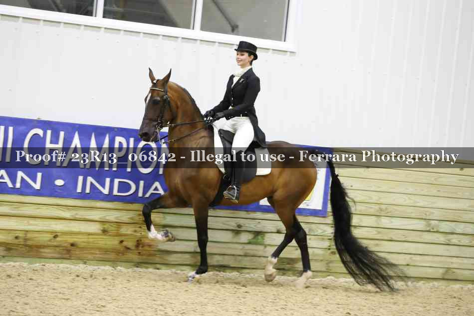 Proof 23R13_06842