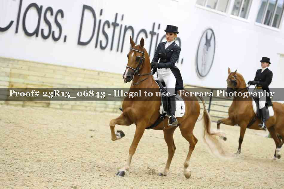 Proof 23R13_06843