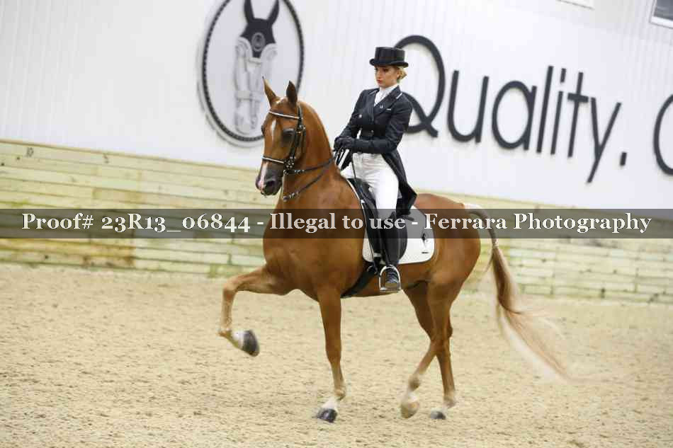 Proof 23R13_06844