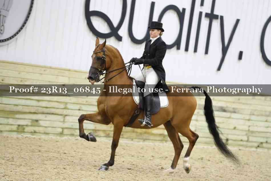 Proof 23R13_06845