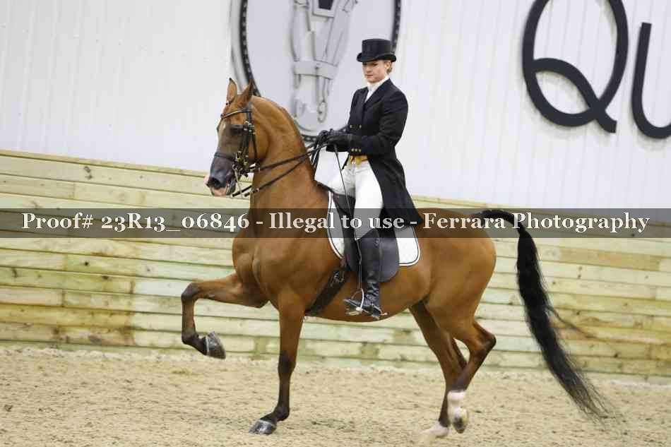 Proof 23R13_06846