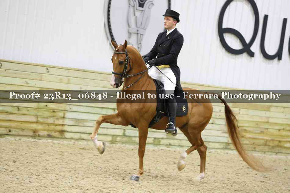 Proof 23R13_06848
