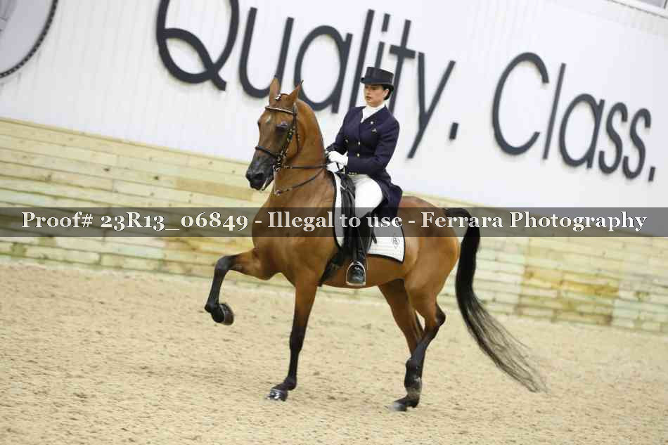 Proof 23R13_06849