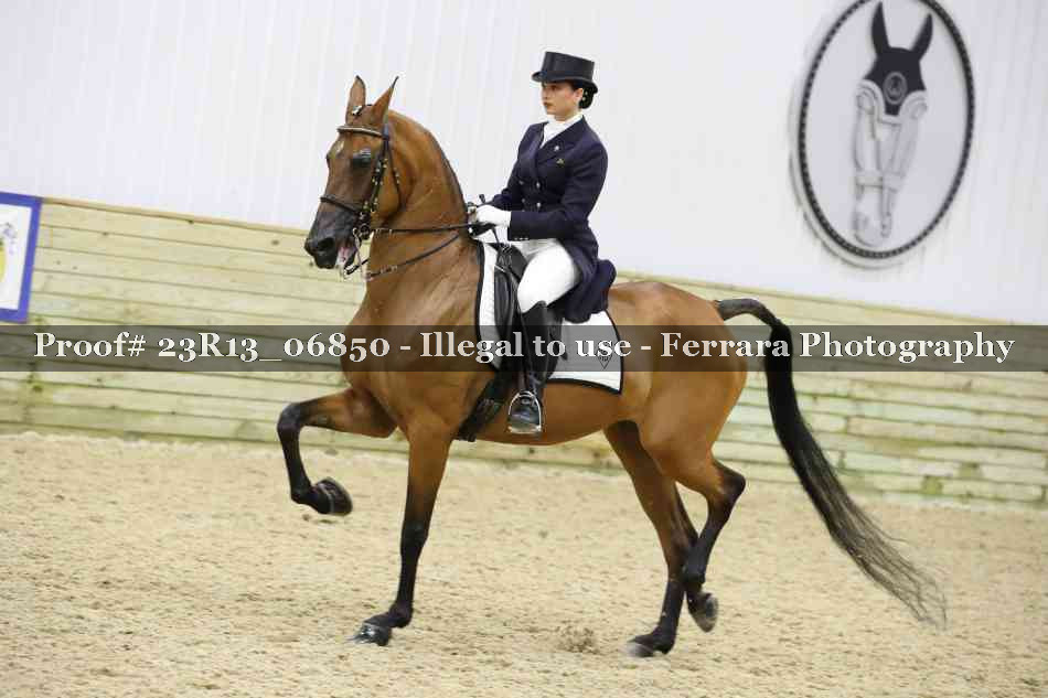Proof 23R13_06850