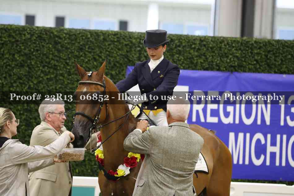 Proof 23R13_06852