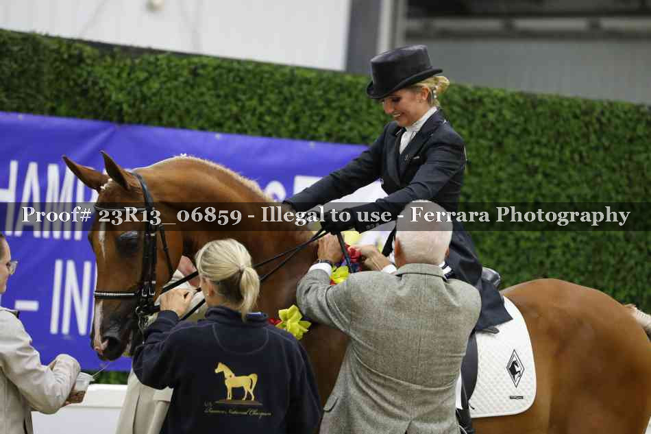Proof 23R13_06859