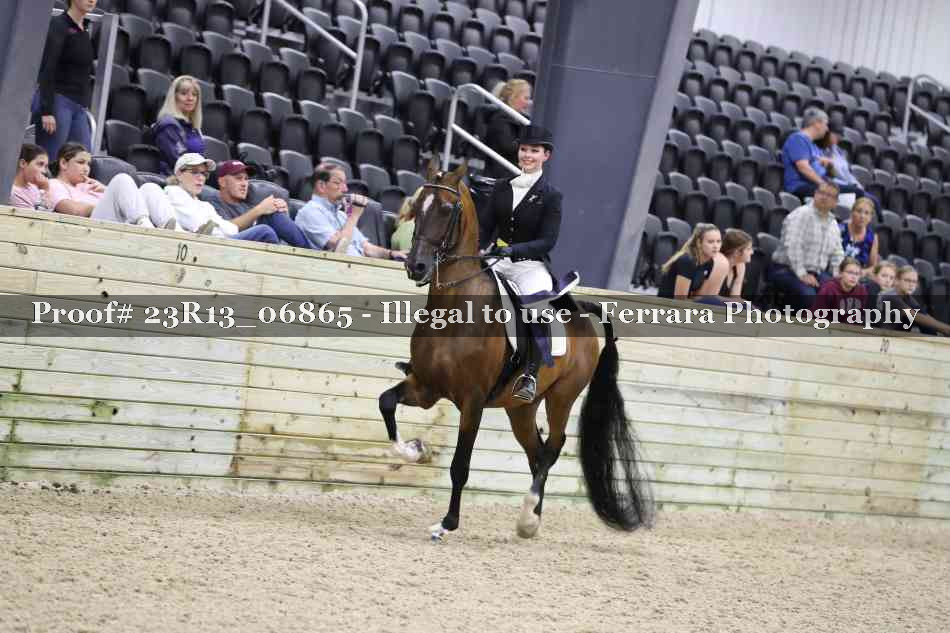 Proof 23R13_06865