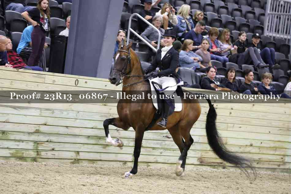 Proof 23R13_06867
