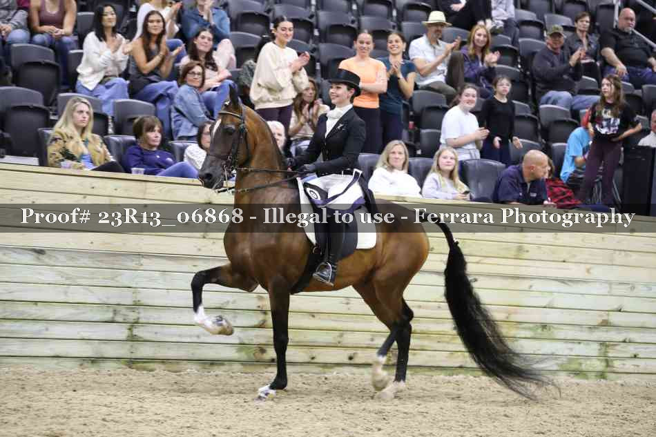 Proof 23R13_06868