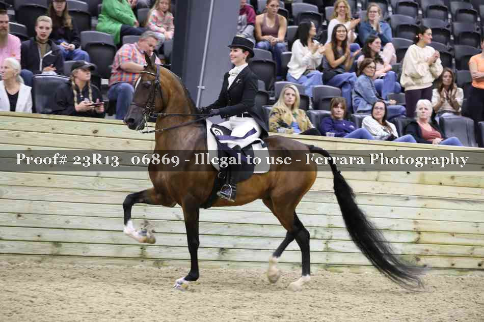 Proof 23R13_06869