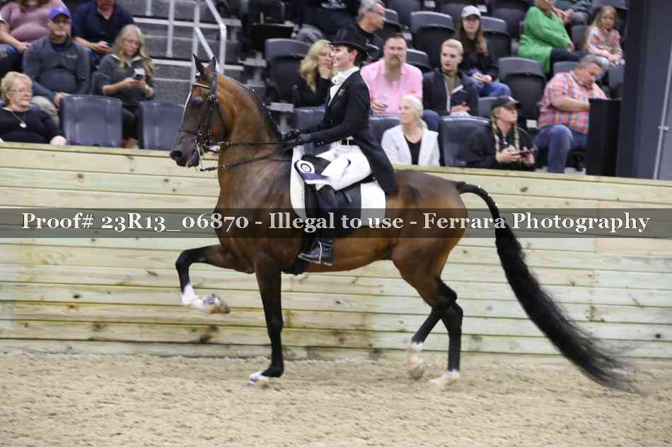 Proof 23R13_06870
