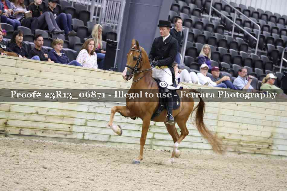 Proof 23R13_06871