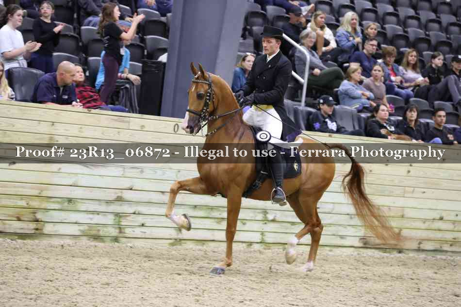 Proof 23R13_06872