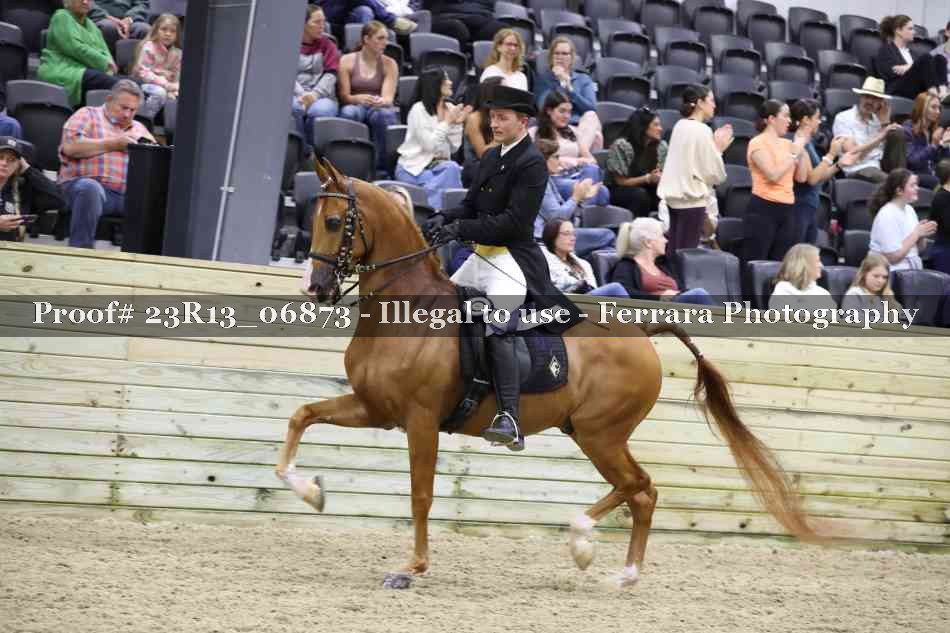 Proof 23R13_06873