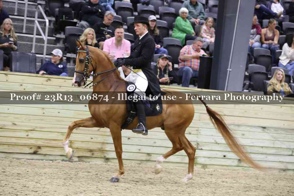 Proof 23R13_06874