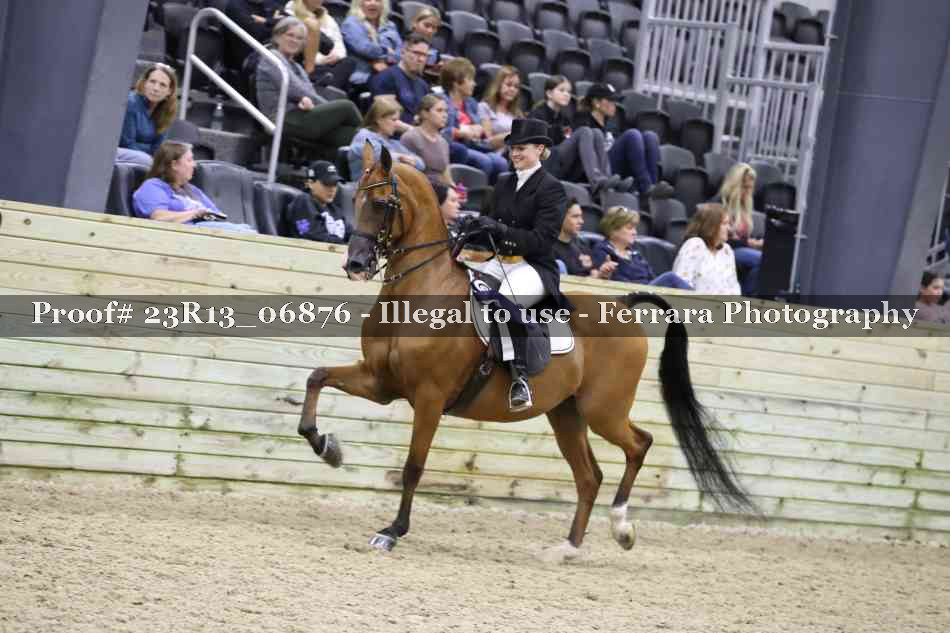 Proof 23R13_06876