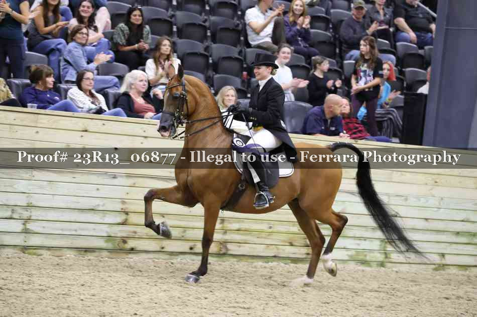 Proof 23R13_06877