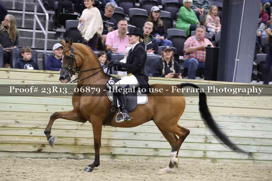 Proof 23R13_06879