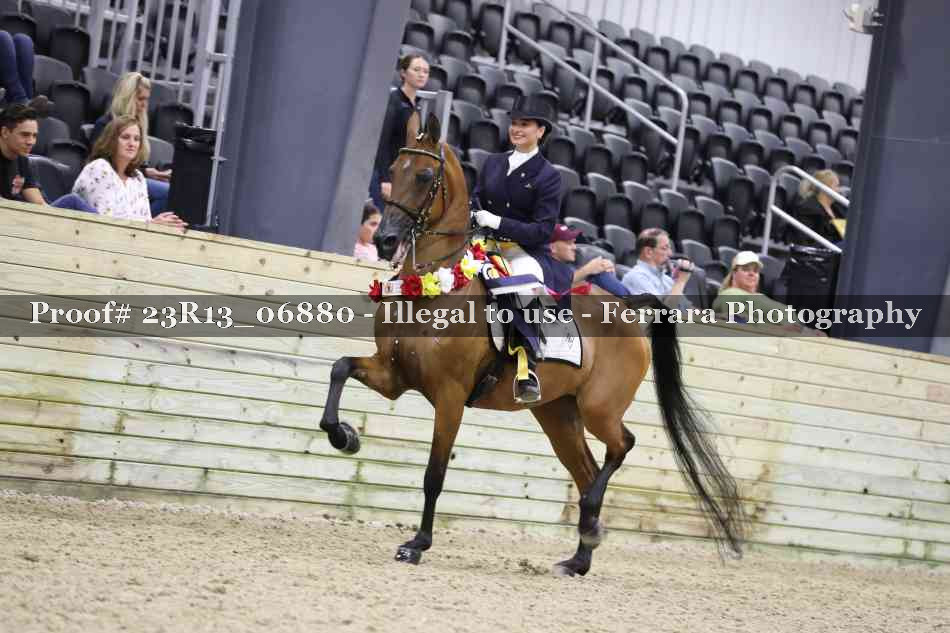 Proof 23R13_06880