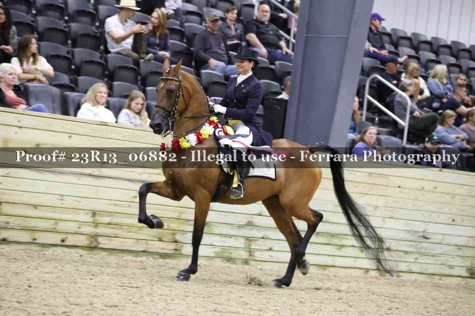 Proof 23R13_06882