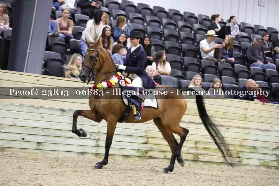 Proof 23R13_06883