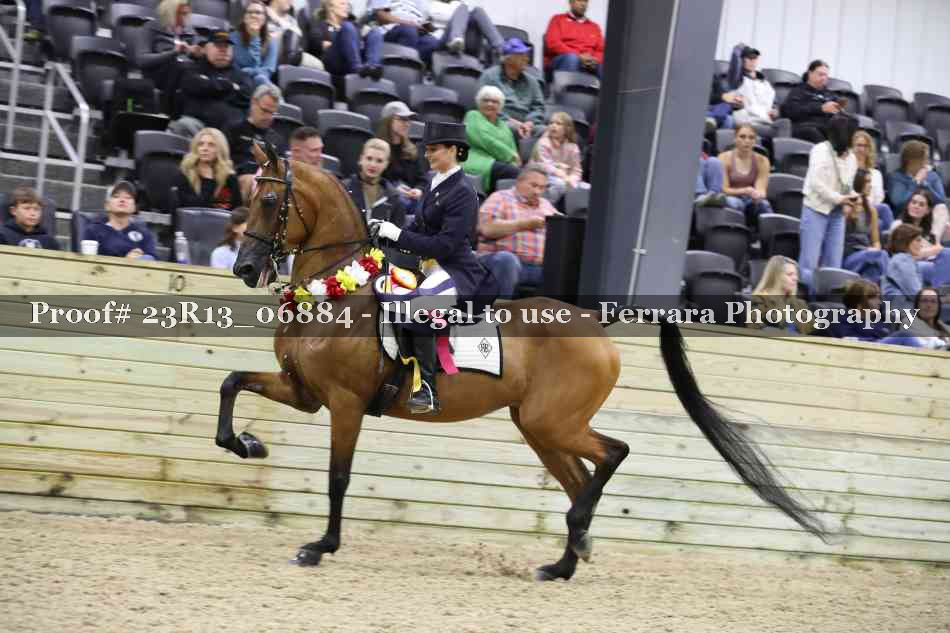 Proof 23R13_06884