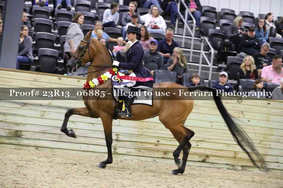 Proof 23R13_06885
