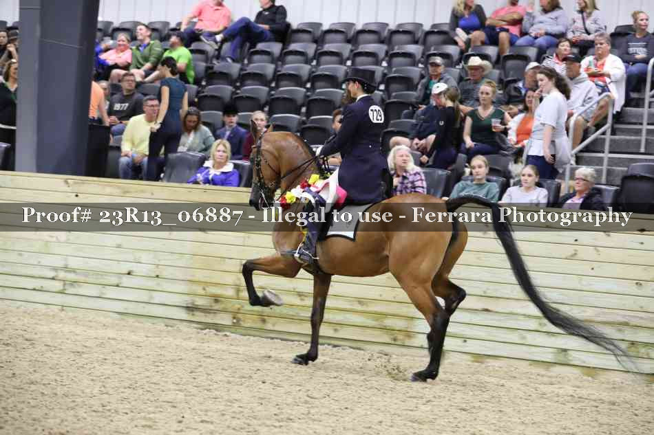 Proof 23R13_06887