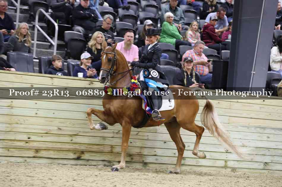 Proof 23R13_06889
