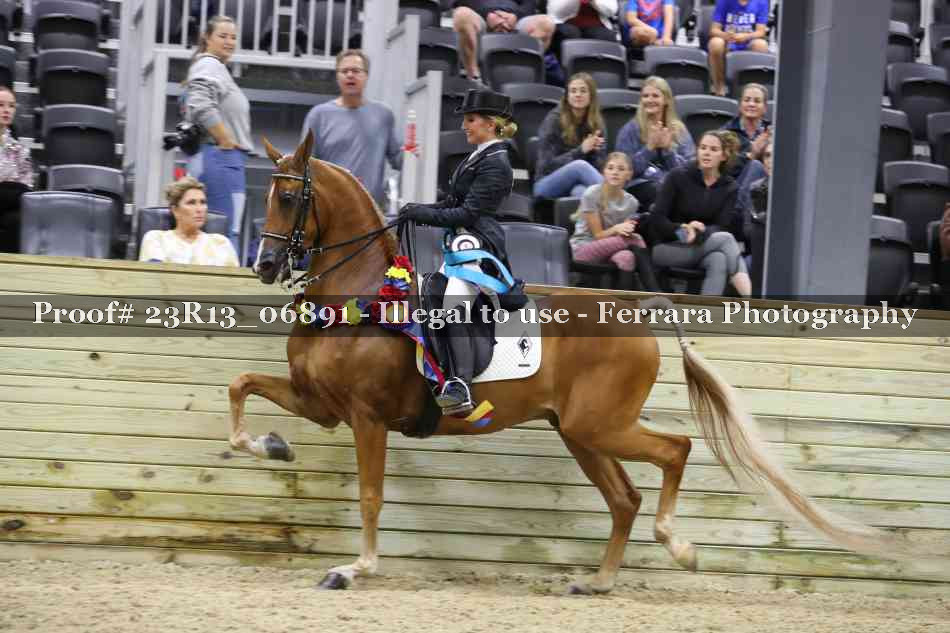Proof 23R13_06891