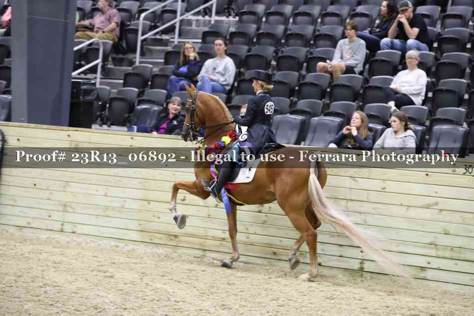 Proof 23R13_06892