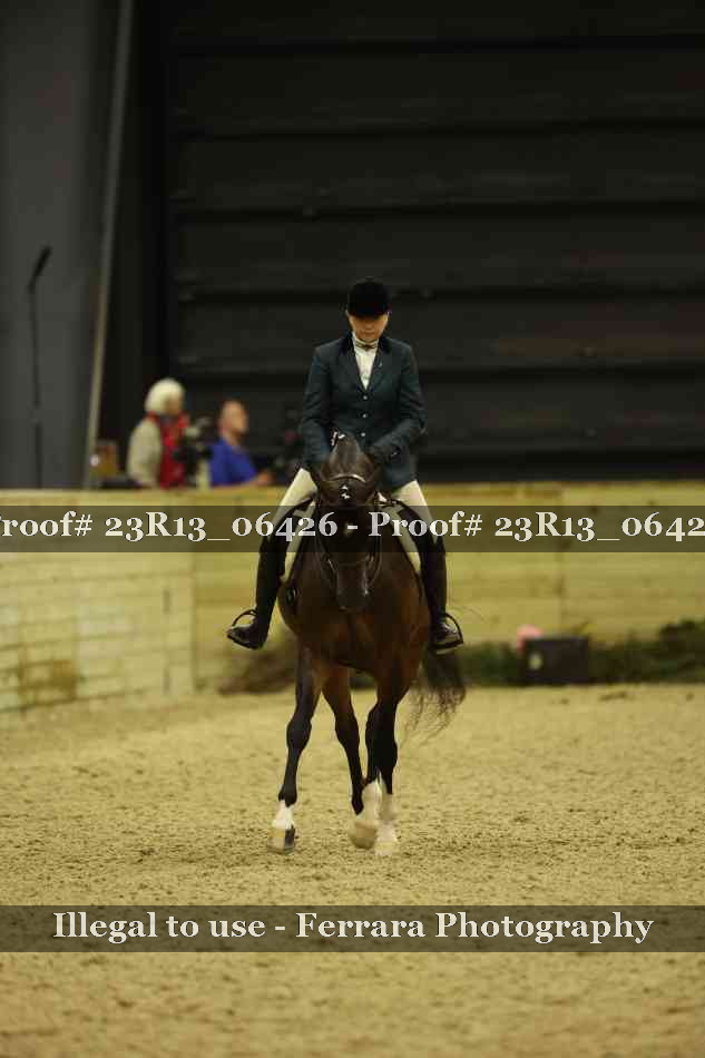 Proof 23R13_06426