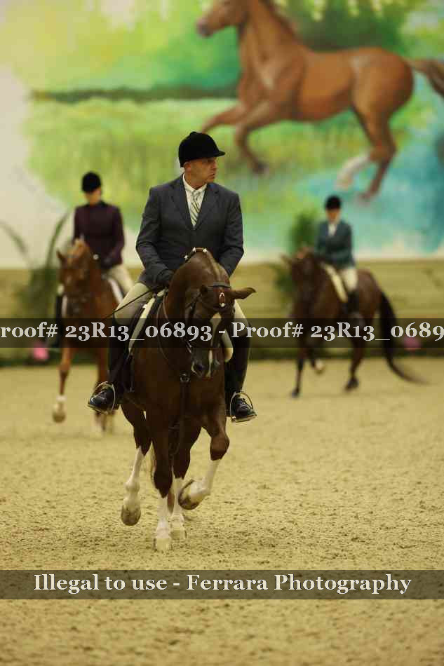 Proof 23R13_06893