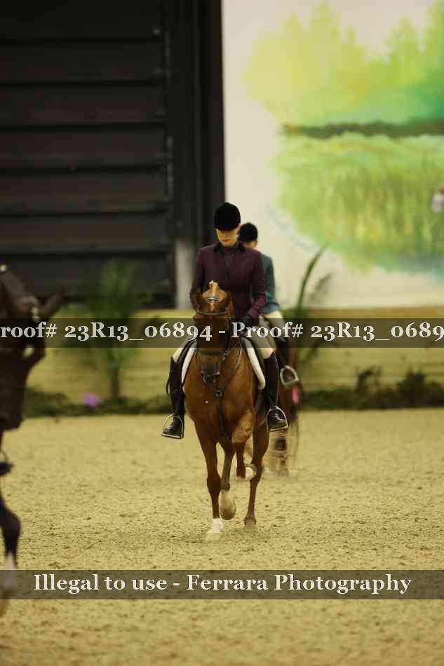 Proof 23R13_06894
