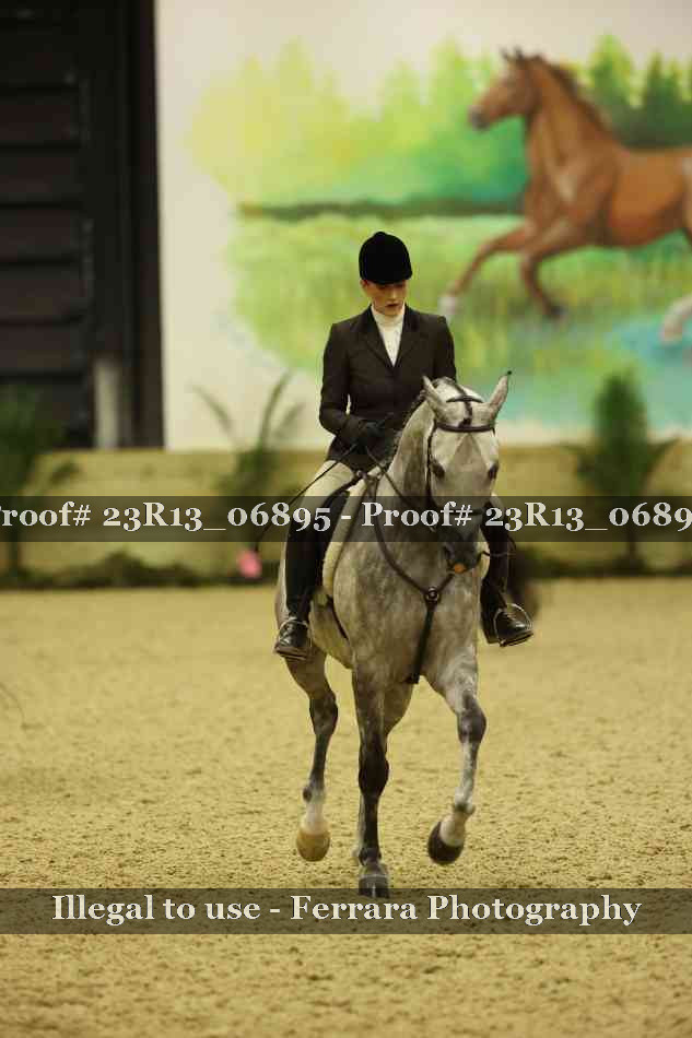 Proof 23R13_06895