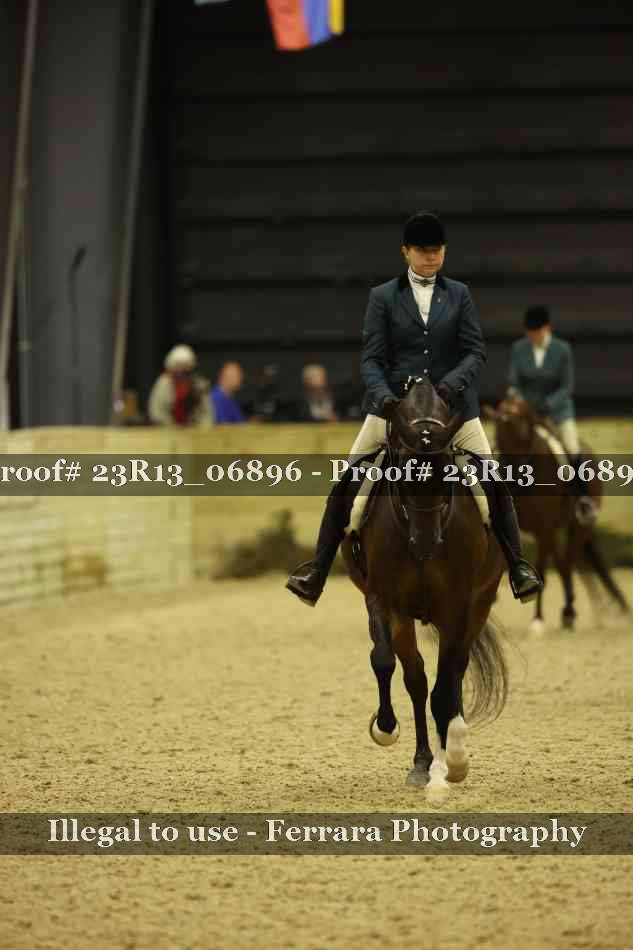Proof 23R13_06896