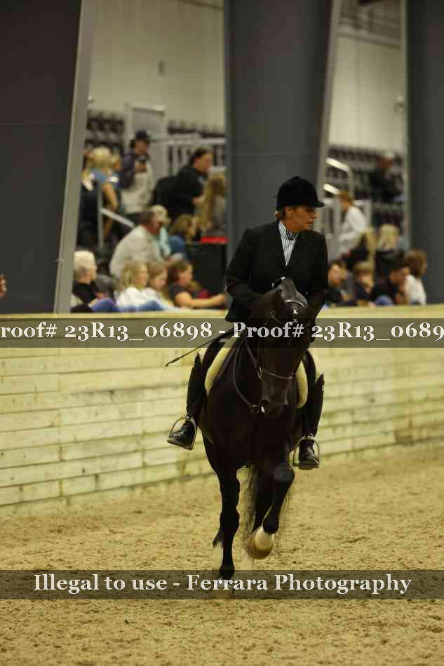 Proof 23R13_06898