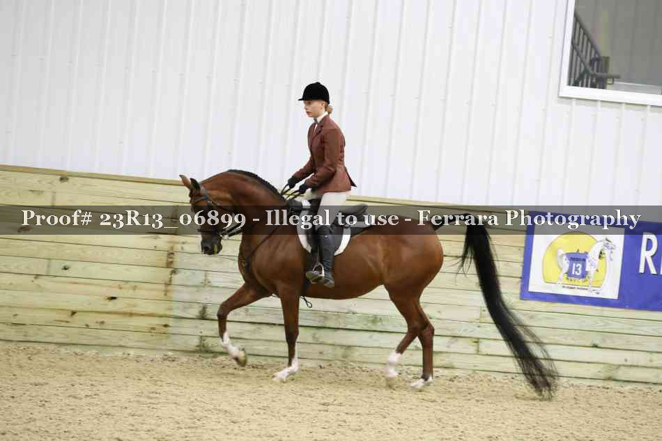 Proof 23R13_06899