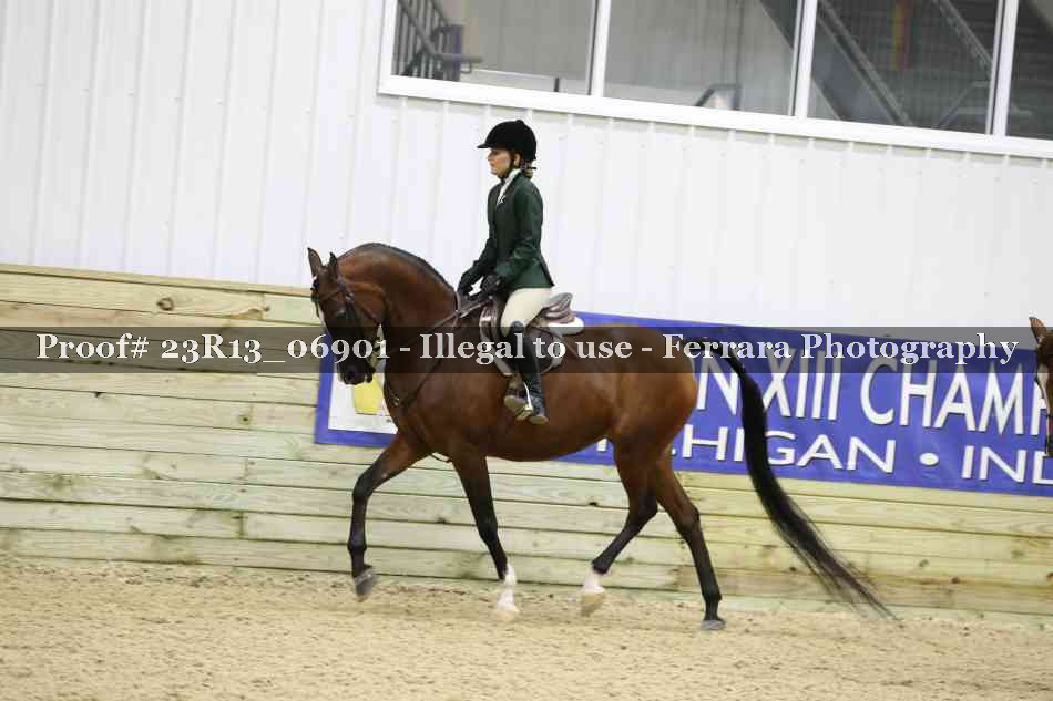 Proof 23R13_06901