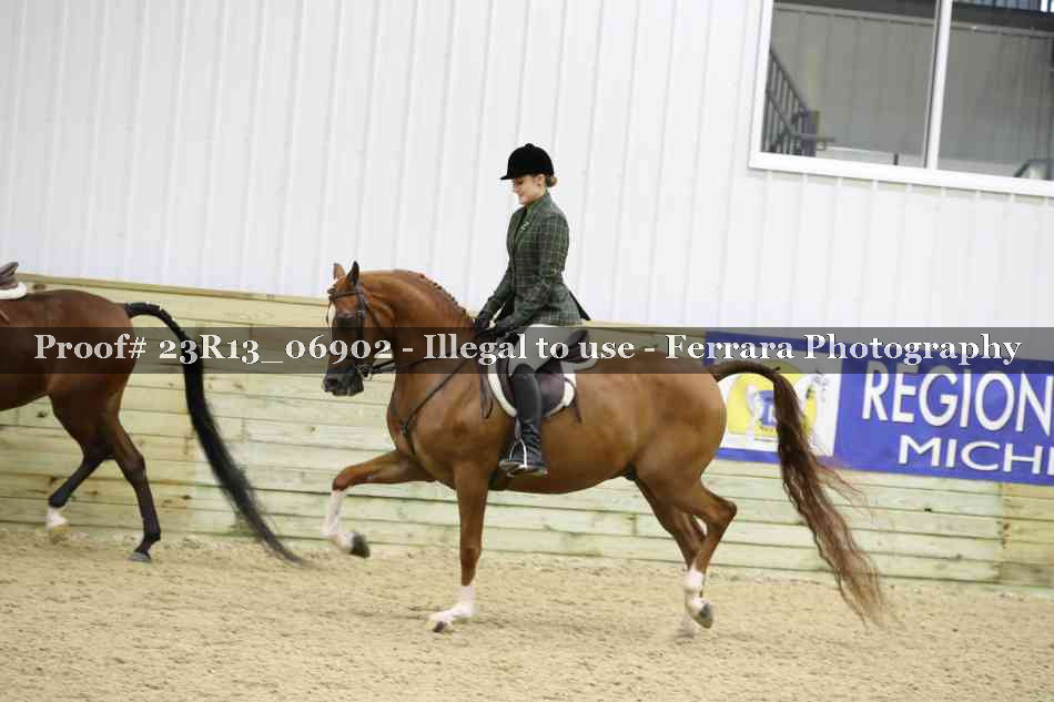 Proof 23R13_06902