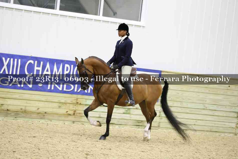 Proof 23R13_06903