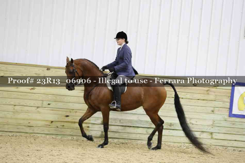 Proof 23R13_06906