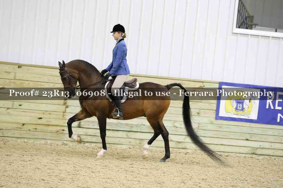 Proof 23R13_06908
