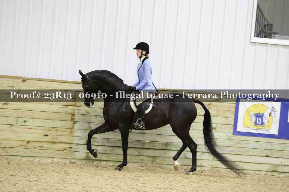 Proof 23R13_06910