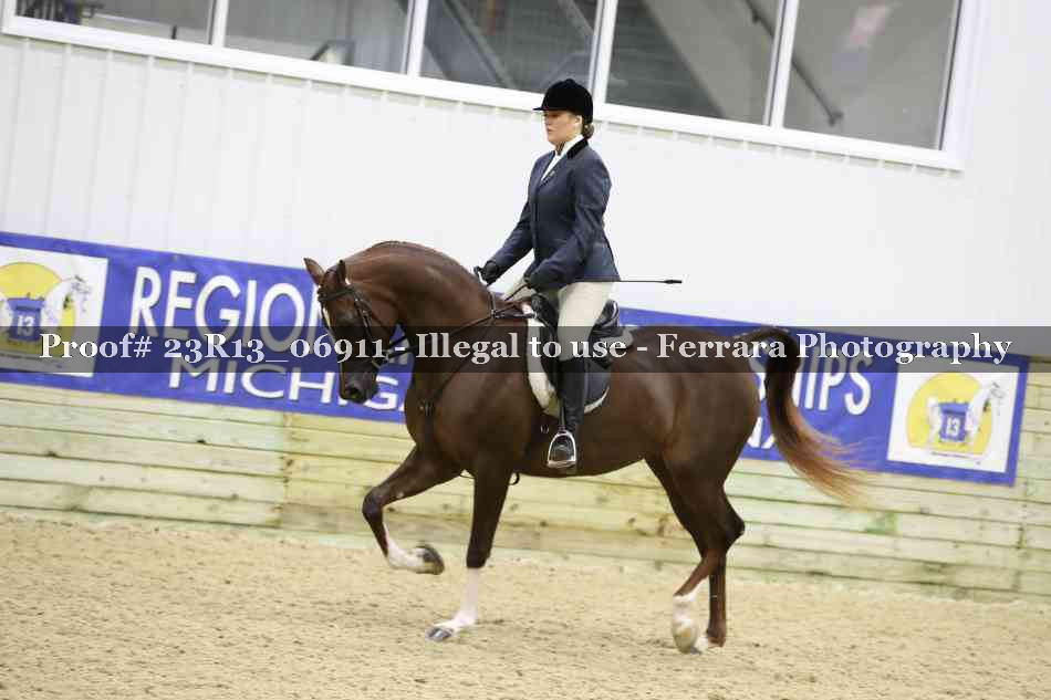 Proof 23R13_06911
