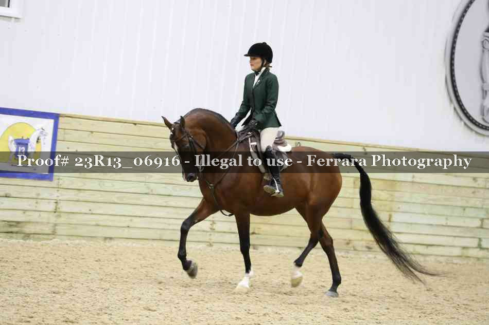 Proof 23R13_06916