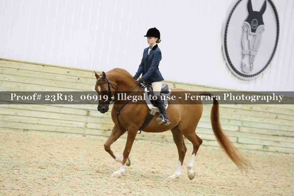 Proof 23R13_06919