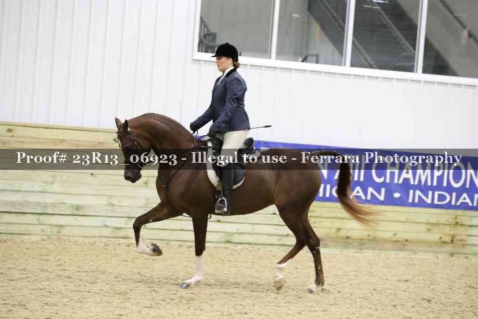 Proof 23R13_06923